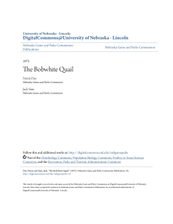 The Bobwhite Quail - DigitalCommons@University of Nebraska