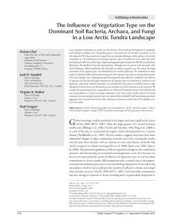 The Influence of Vegetation Type on the Dominant Soil