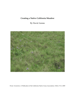 Creating a Native California Meadow