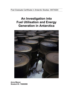 An Investigation into Fuel Utilisation and Energy Generation in