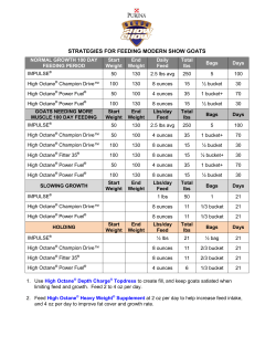 strategies for feeding modern show goats
