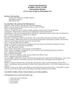 RABBIT Study Guide - Intermediate