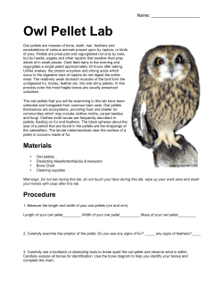 Owl Pellet Lab - CW Perry School