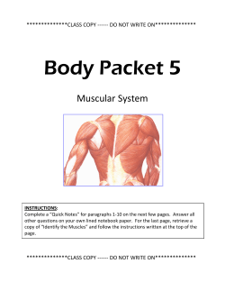 Body Organization: Working Together
