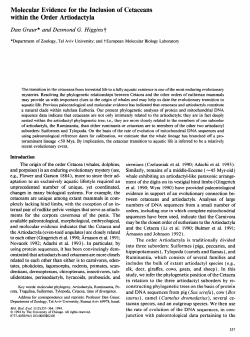 Molecular Evidence for the Inclusion of Cetaceans within the Order