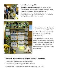 Jennie Gresham, age 11 THE WINNER: Rabbit manure: sunflowers