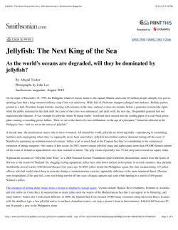 Jellyfish: The Next King of the Sea