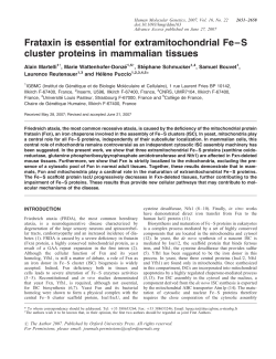 Frataxin is essential for extramitochondrial Fe&ndash;S cluster proteins in