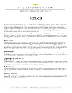 Organic mulch Inorganic mulch TYPES OF ORGANIC MULCH Bark