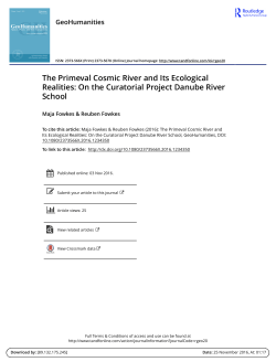On the Curatorial Project Danube River School
