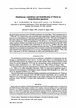 Simultaneous Assimilation and Denitrification of