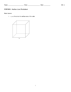 FMP10SS - Surface Area Worksheet