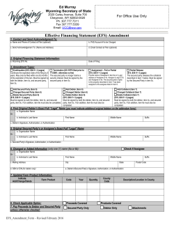 Effective Financing Statement (EFS) Amendment