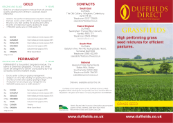 grass seed leaflet