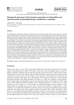 Phylogenetic placement of the European sand gobies in