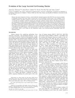 Evolution of the Large Secreted Gel