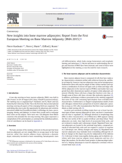 BMA 2015 Commentary - Bone Marrow Adiposity 2017