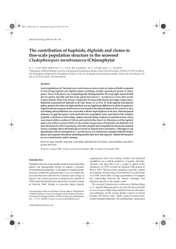 The contribution of haploids, diploids and clones to fine-scale