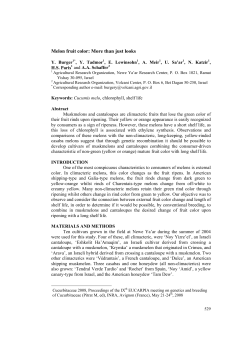 Melon fruit color: More than just looks1