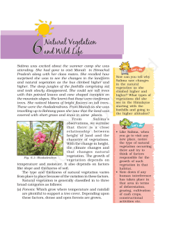 6Natural Vegetation And Wild Life
