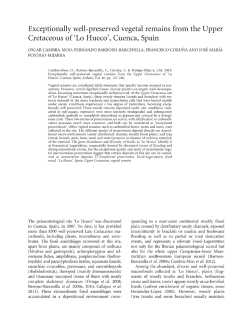 Exceptionally wellpreserved vegetal remains from the Upper