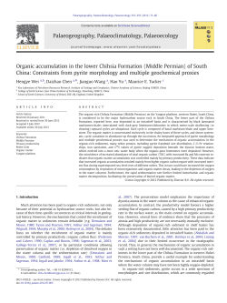 Organic accumulation in the lower Chihsia Formation (Middle