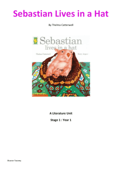 Sebastian Lives in a Hat