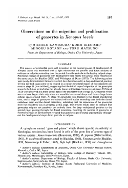 Observations on the migration and proliferation of