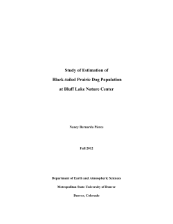 Study of Estimation of Black-tailed Prairie Dog