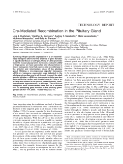Cre-Mediated Recombination in the Pituitary Gland