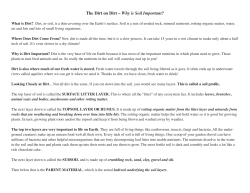 The Dirt on Dirt &ndash; Why is Soil Important?