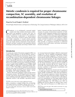 Meiotic condensin is required for proper chromosome compaction