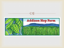 Addison Hop Farm, Statistics and Costs from 2011
