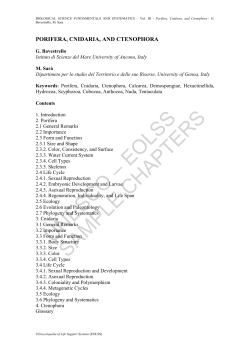 Porifera, Cnidaria, and Ctenophora