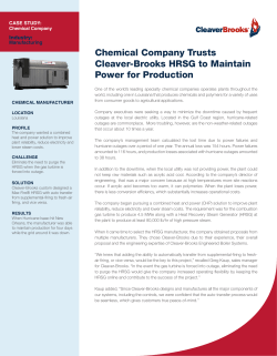 Chemical Company Trusts Cleaver-Brooks HRSG to Maintain Power