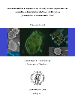 SeasonalxVariationxDinophysisxOsloxFjord - DUO