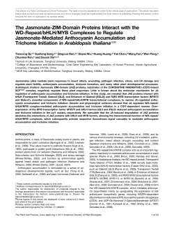 The Jasmonate-ZIM-Domain Proteins Interact with