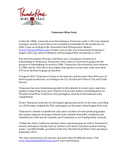 Tennessee Wine Facts In the late 1800s, vineyards were flourishing