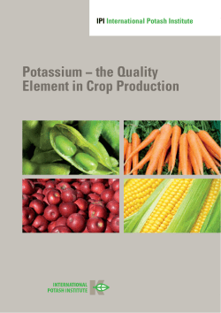 Potassium &minus; the Quality Element in Crop Production