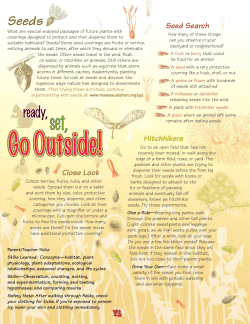 Seed Search - Mass Audubon