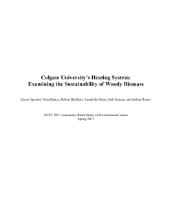 Examining the Sustainability of Woody Biomass