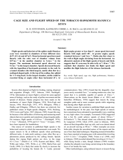 cage size and flight speed of the tobacco hawkmoth manduca sexta