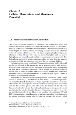 Cellular Homeostasis and Membrane Potential