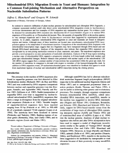 Mitochondrial DNA Migration Events in Yeast and Humans