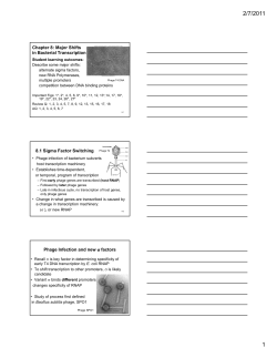 PDF, 3 slides
