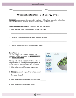 Cell Energy Cycle