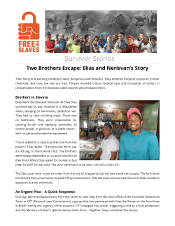 Survivor Stories - freetheslaves.net