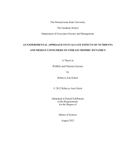 Influence of nutrients and consumers on lower trophic levels in three