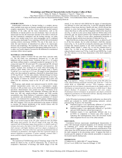 Morphology and Mineral Characteristics in the Fracture Callus of Rats