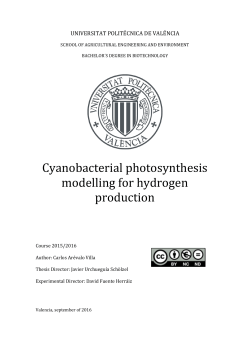 Cyanobacterial photosynthesis modelling for hydrogen